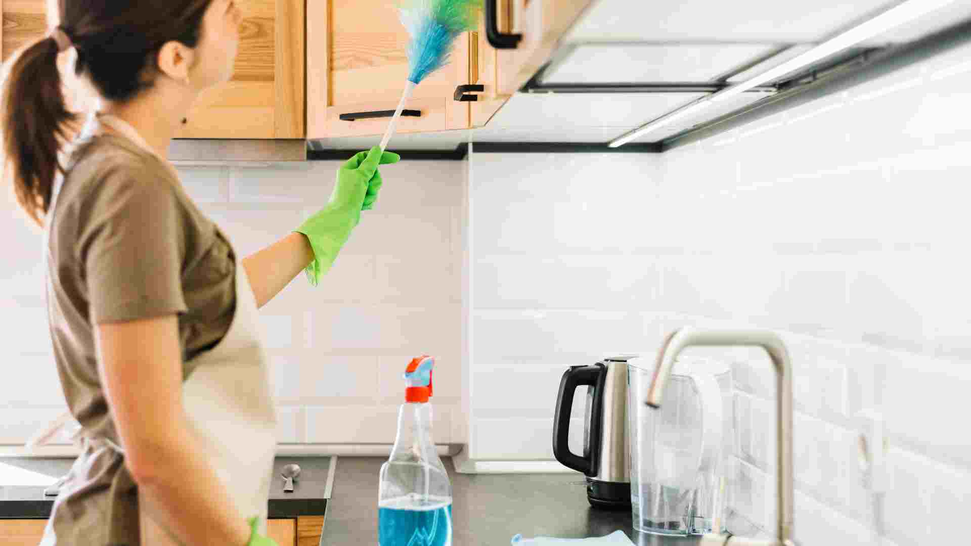 kitchen-cleaning kitchen-cleaning