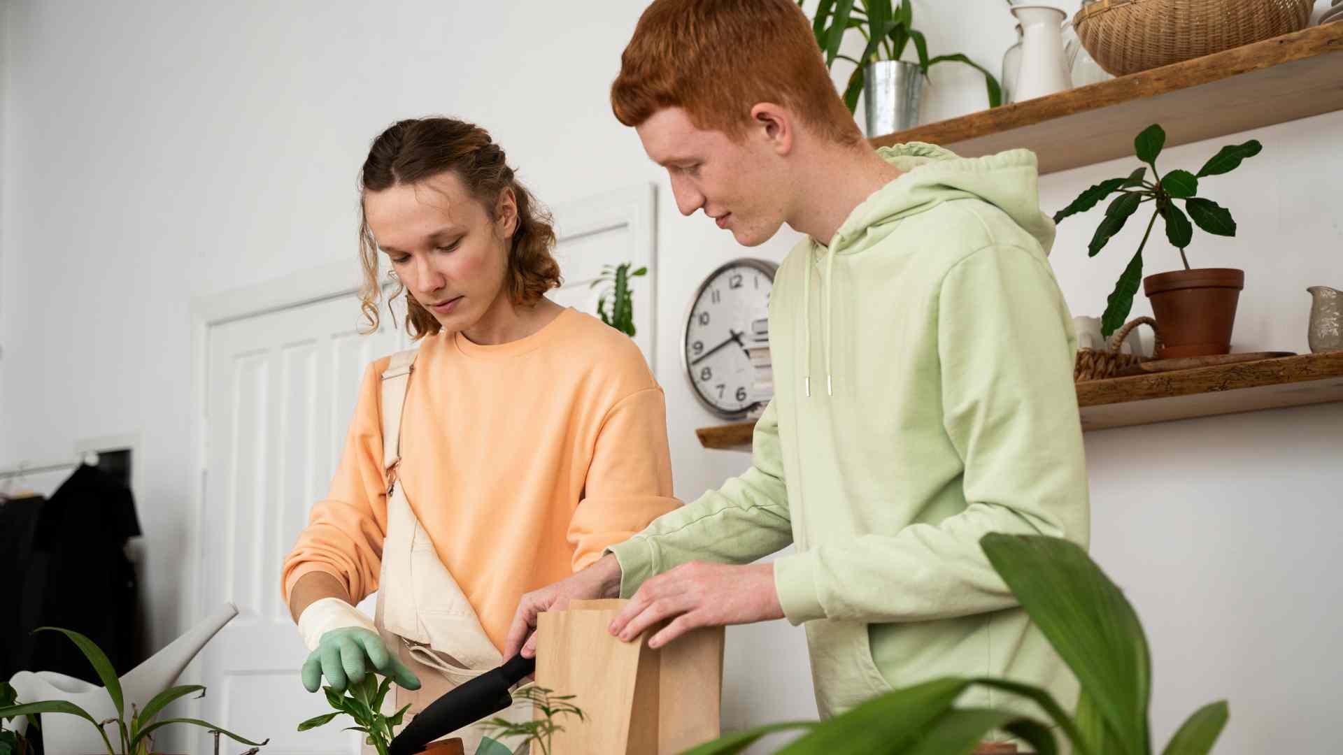 people-transplanting-plants people-transplanting-plants